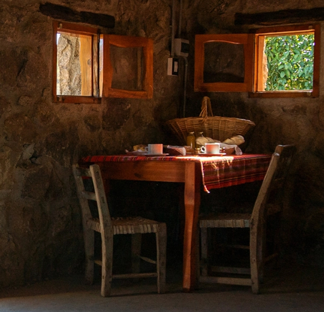 Como trabajamos_Medio ambiente_01 img